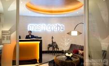 约翰内斯堡-奥利弗·雷金纳德·坦博国际机场Mashonzha Lounge