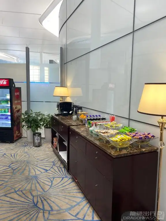 First Class Lounge No. 3(T2 Domestic) – photos 4