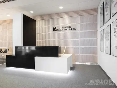 Business Executive Lounge – photos 2