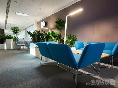 Business Executive Lounge – photos 6