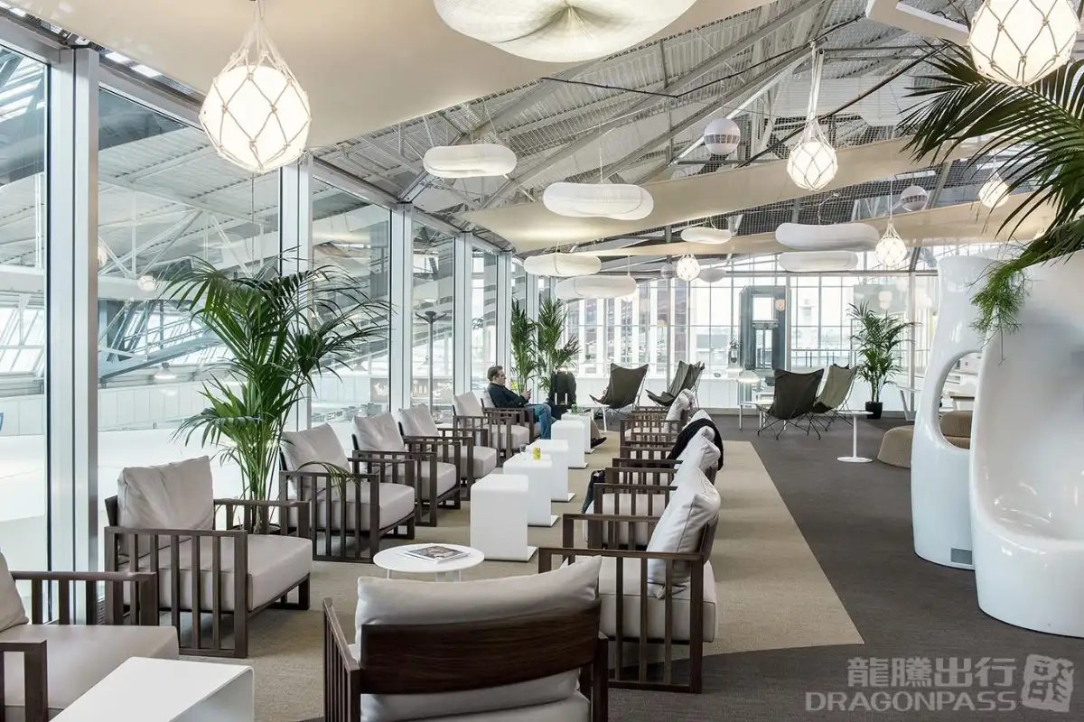 The Canopy Lounge – photos 2