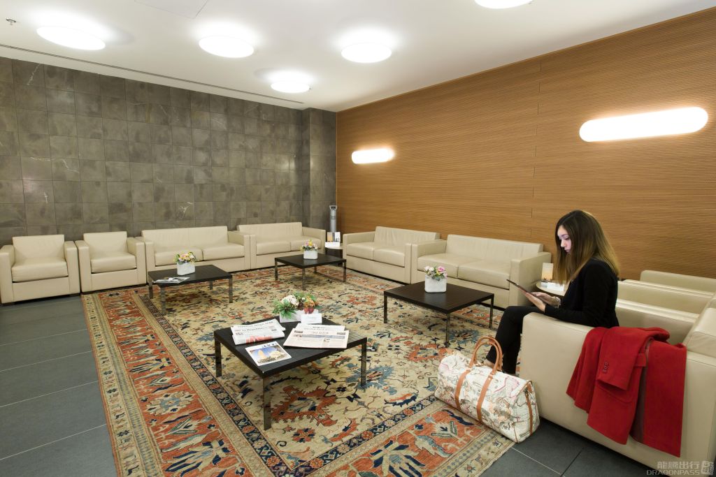 VIP Lounge and Fast Track — food & bar