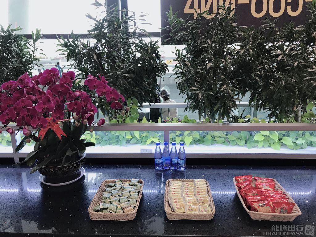 Easy-boarding VIP Reception Center — food & bar