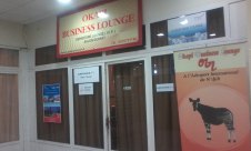 金沙萨恩吉利机场Okapi Business Lounge