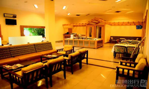 Earth Lounge (Domestic) – photos 4