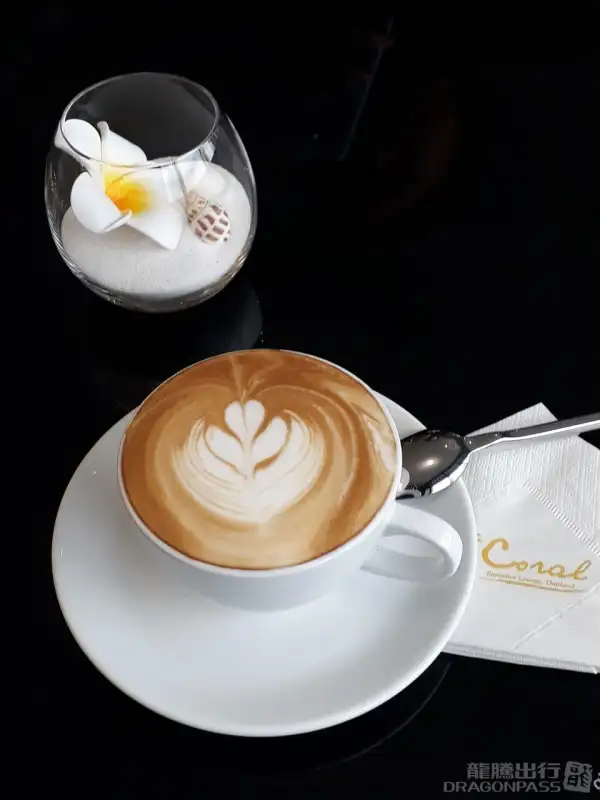 The Coral Executive Lounge (T1 - Level 3) – photos 3