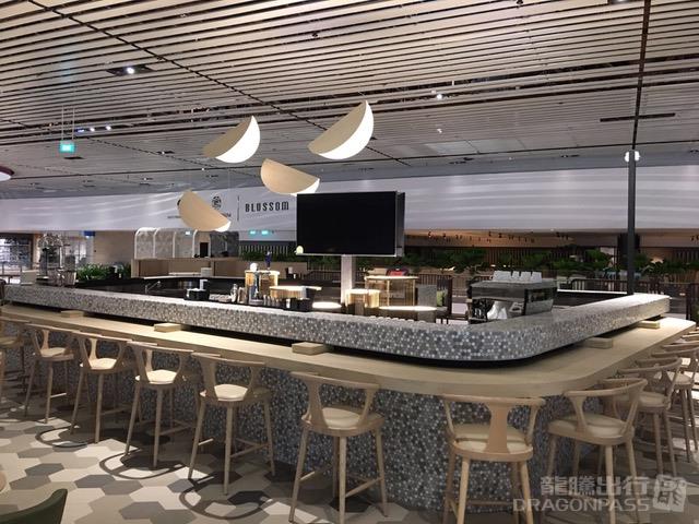 Blossom - Sats & Plaza Pemium Lounge at Changi Airport