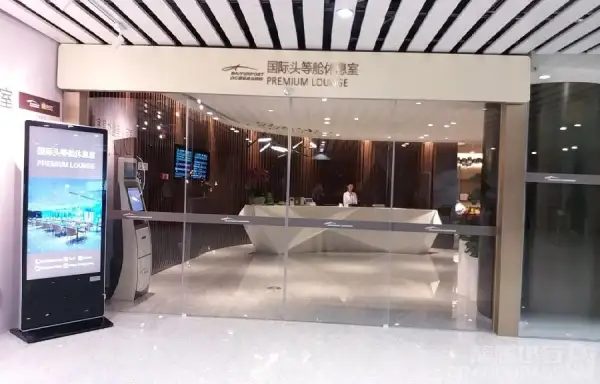 Premium Lounge (T2 International) – photos 3