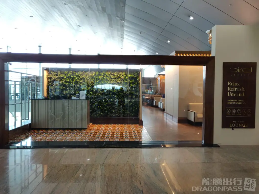 The Lounge (International) – photos 2