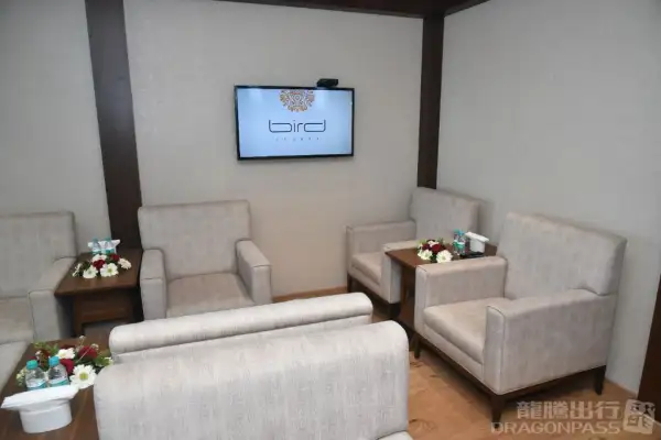 Bird Lounge – photos 4
