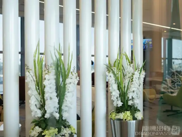 Flynas Lounge – photos 5