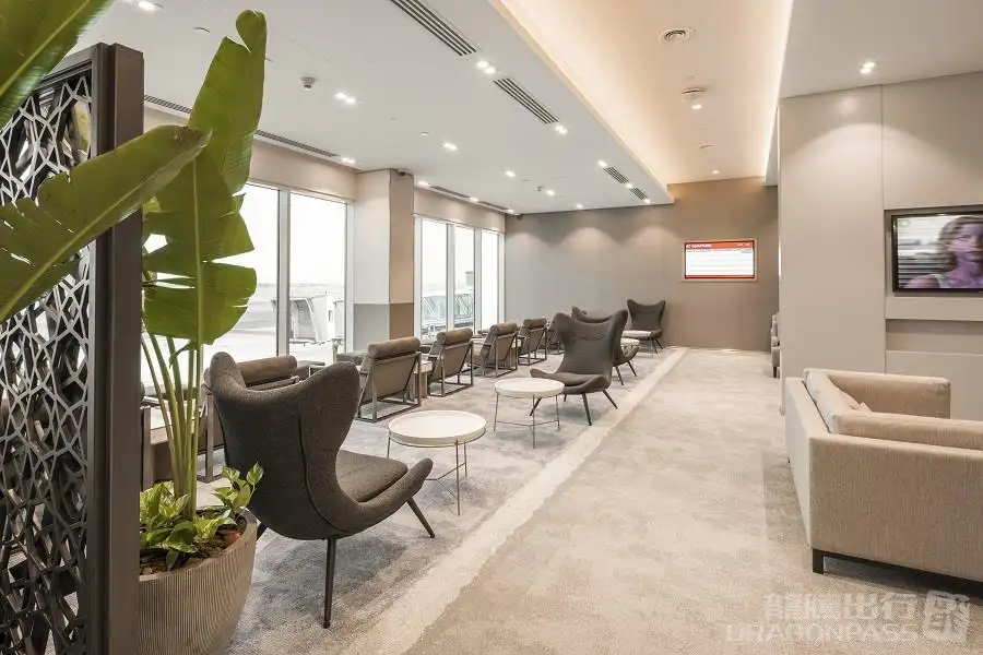 The Lounge – photos 2