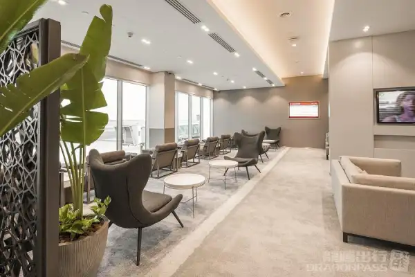 The Lounge – photos 2