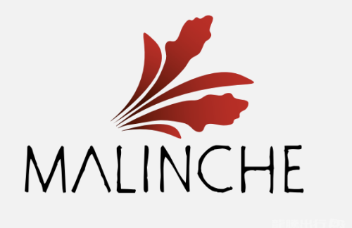 胡安·圣何塞安圣玛丽亚国际机场Malinche Restaurant